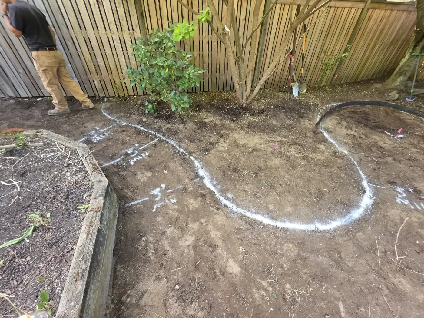 White layout paint marking bed shape on cleared soil