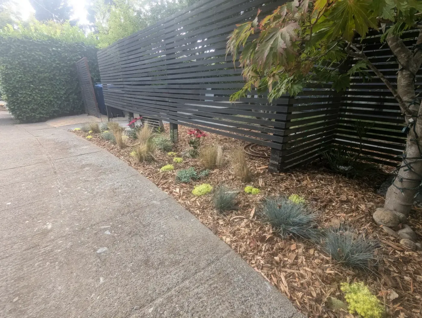 Dark slat fence along sidewalk with planted bark strip