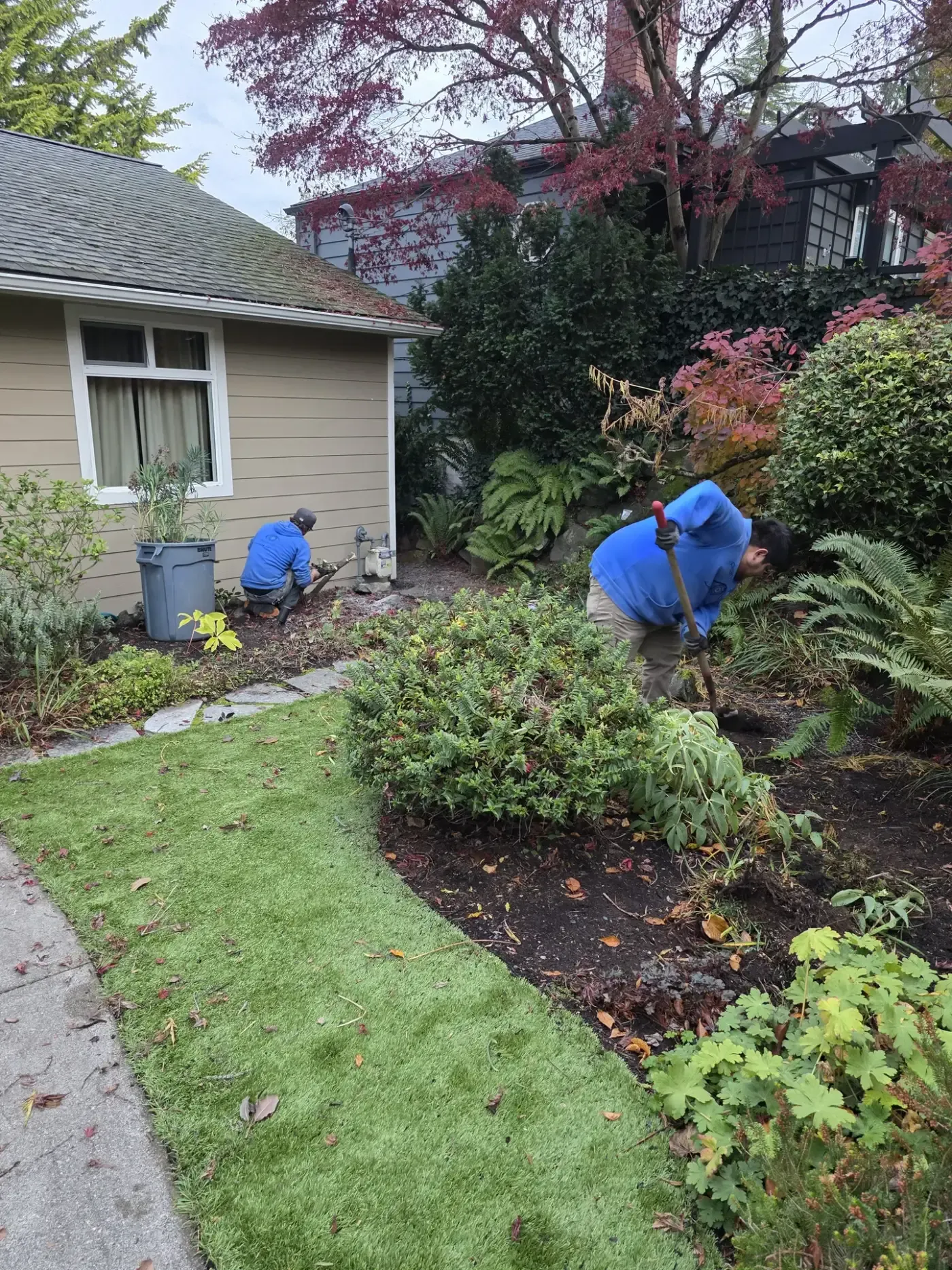 Two crew in blue working beds beside lawn and stepping stones