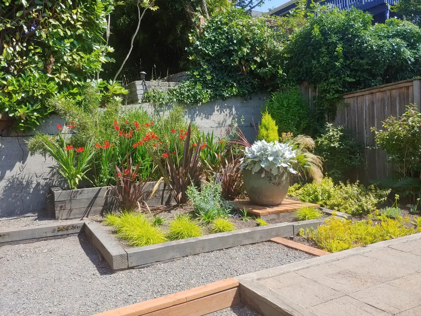 Timber edged raised beds, crocosmia, gravel paths, urn planter