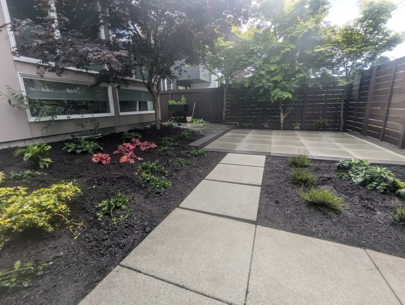 Hosta and heuchera borders flanking slab walkway toward rear patio