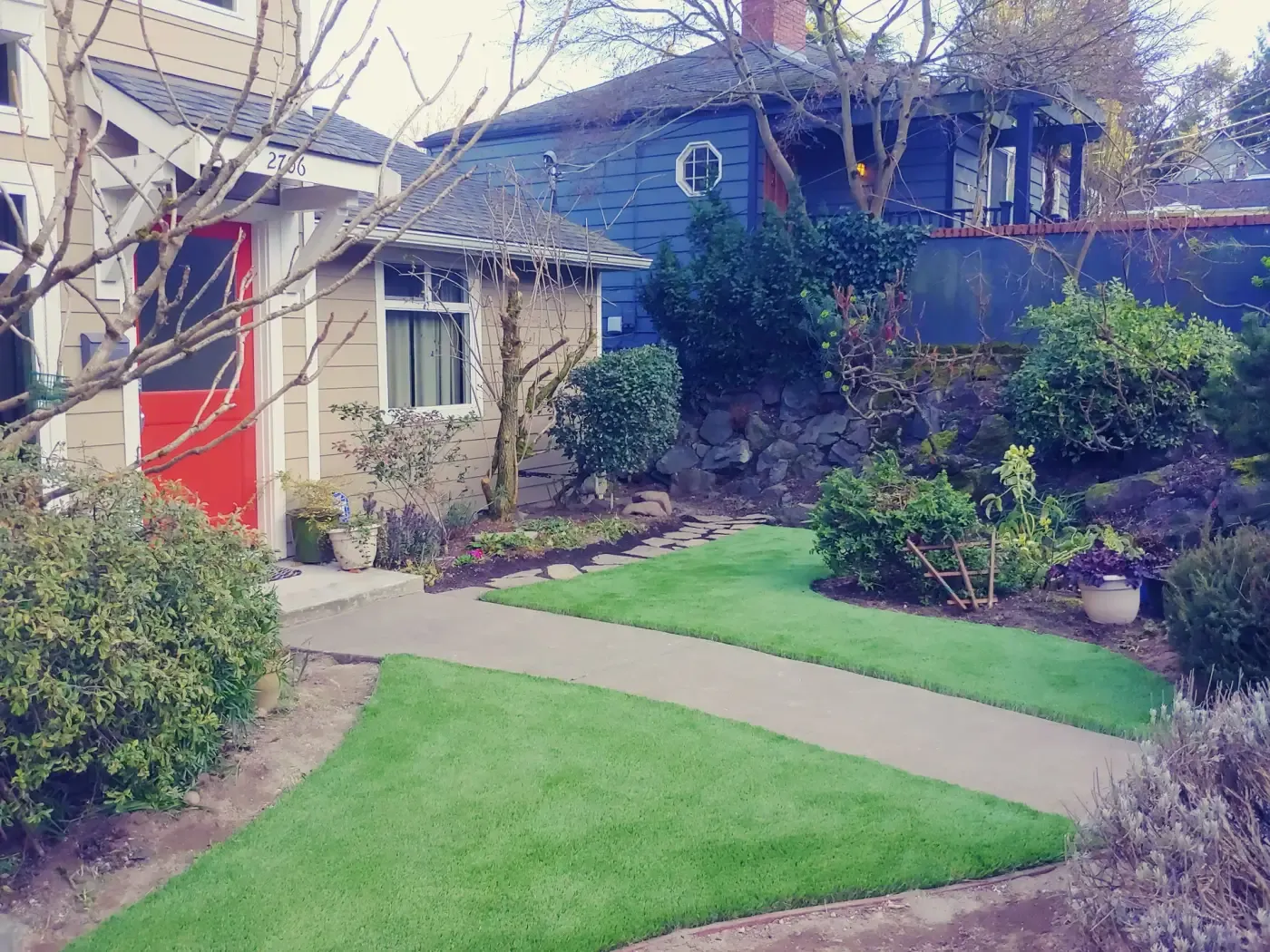 New sod front lawn along concrete walk, craftsman house