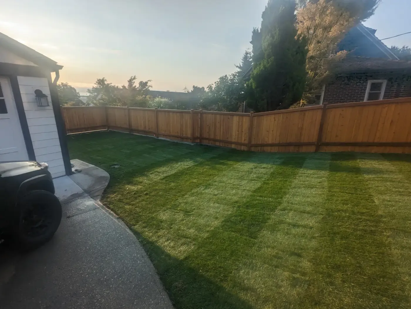 Wide sunrise view of new sod lawn and cedar fence line