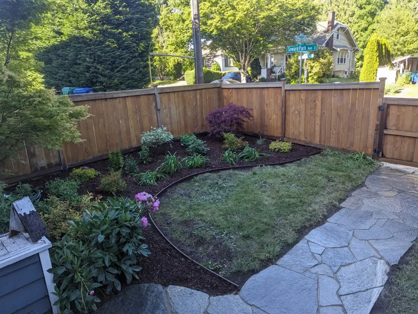 Corner bed of maple, peony and perennials framing small lawn
