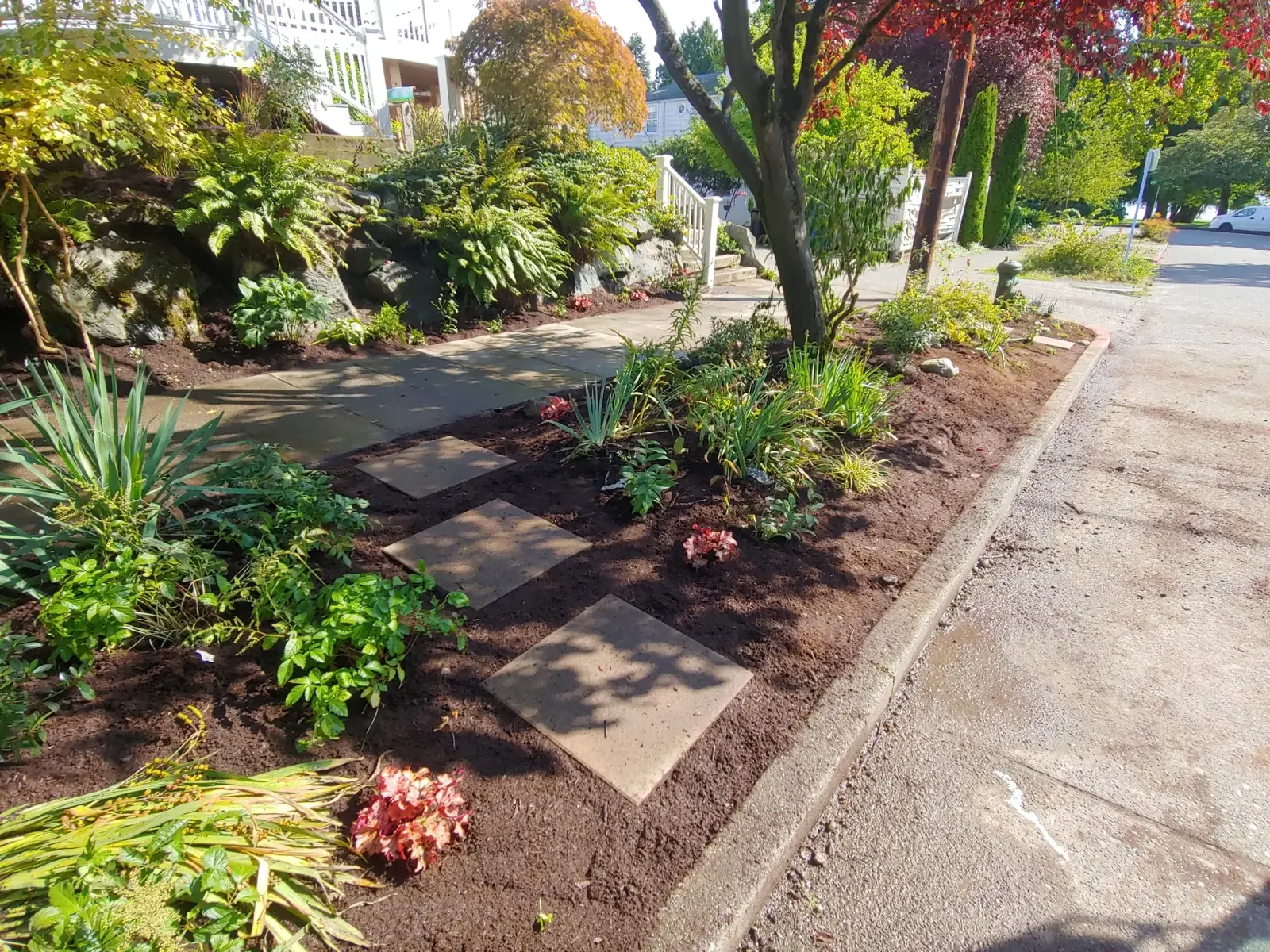 Street strip replanted with perennials and square concrete stepping pads