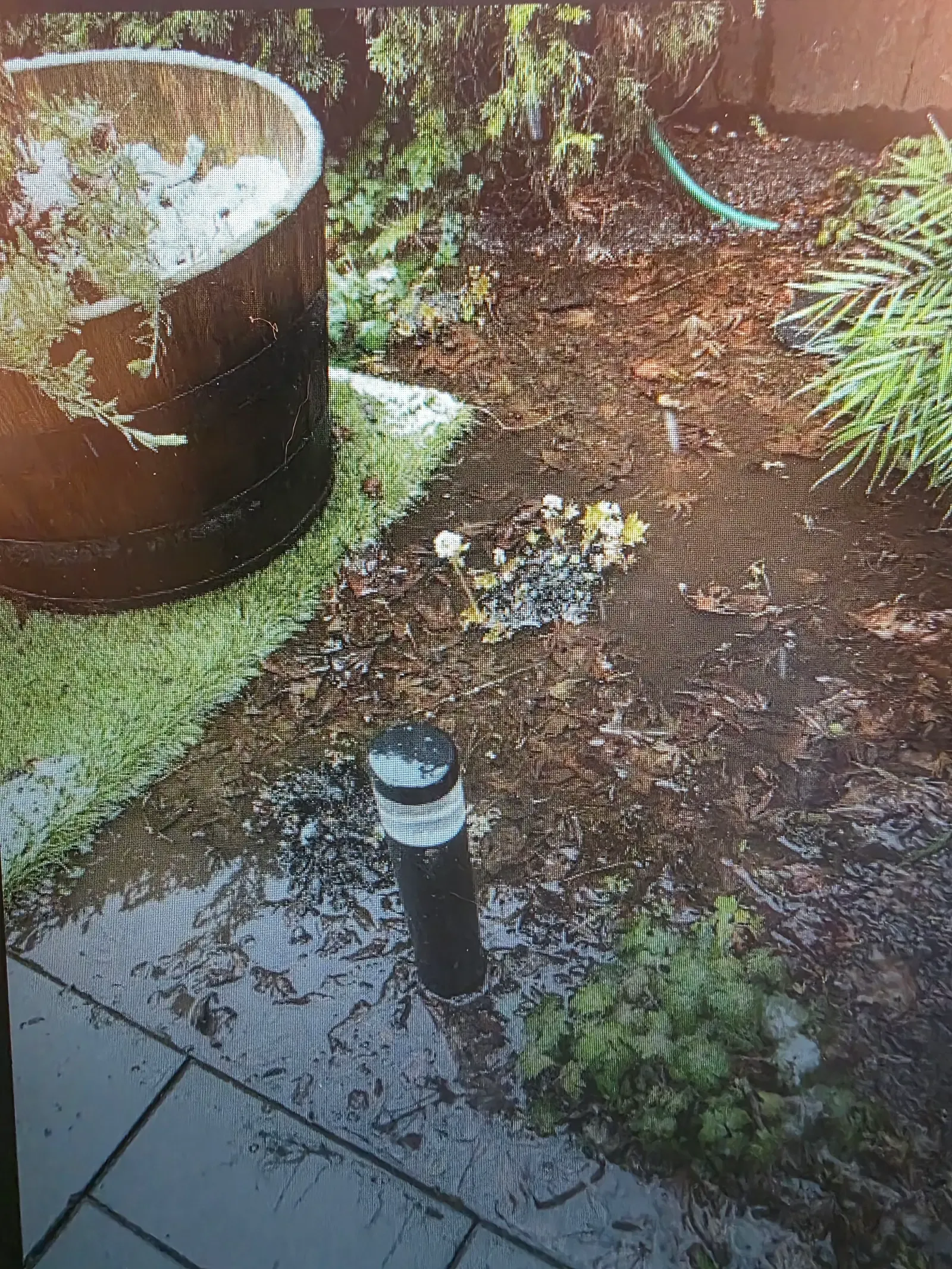 Standing water across a saturated bed, a lighting bollard sitting in the puddle