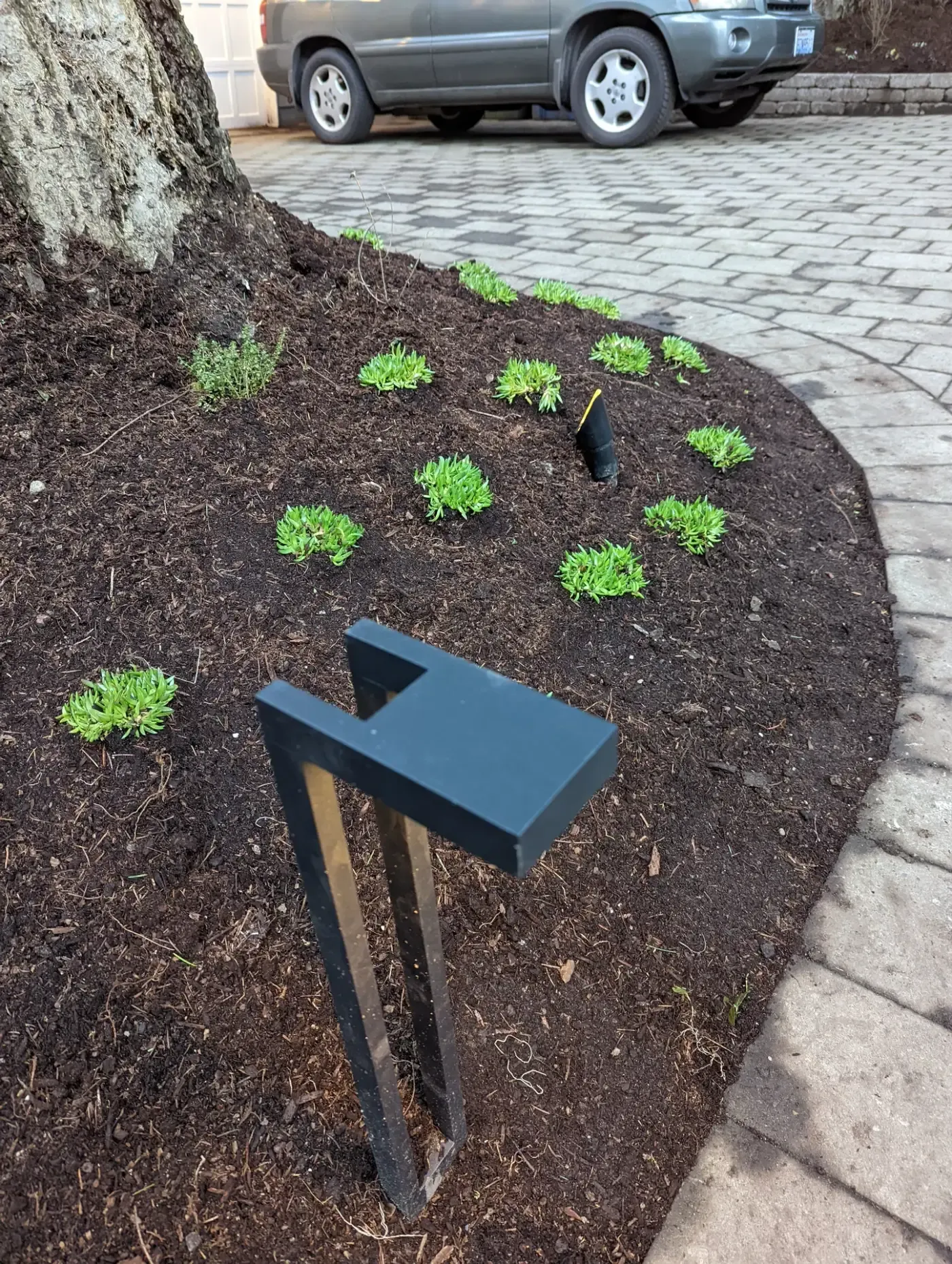 Matte black low voltage path light staked in new bed