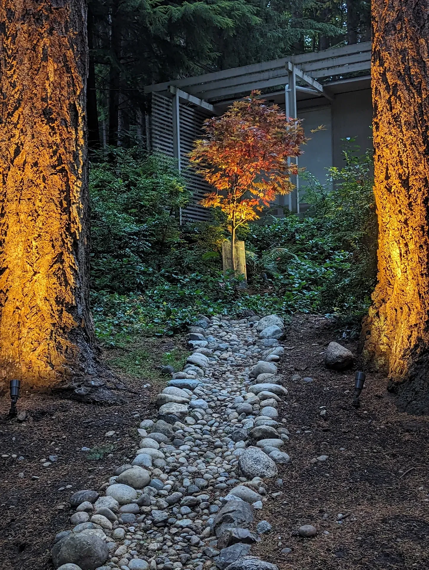 Cobble dry creek channel running between uplit firs and a maple