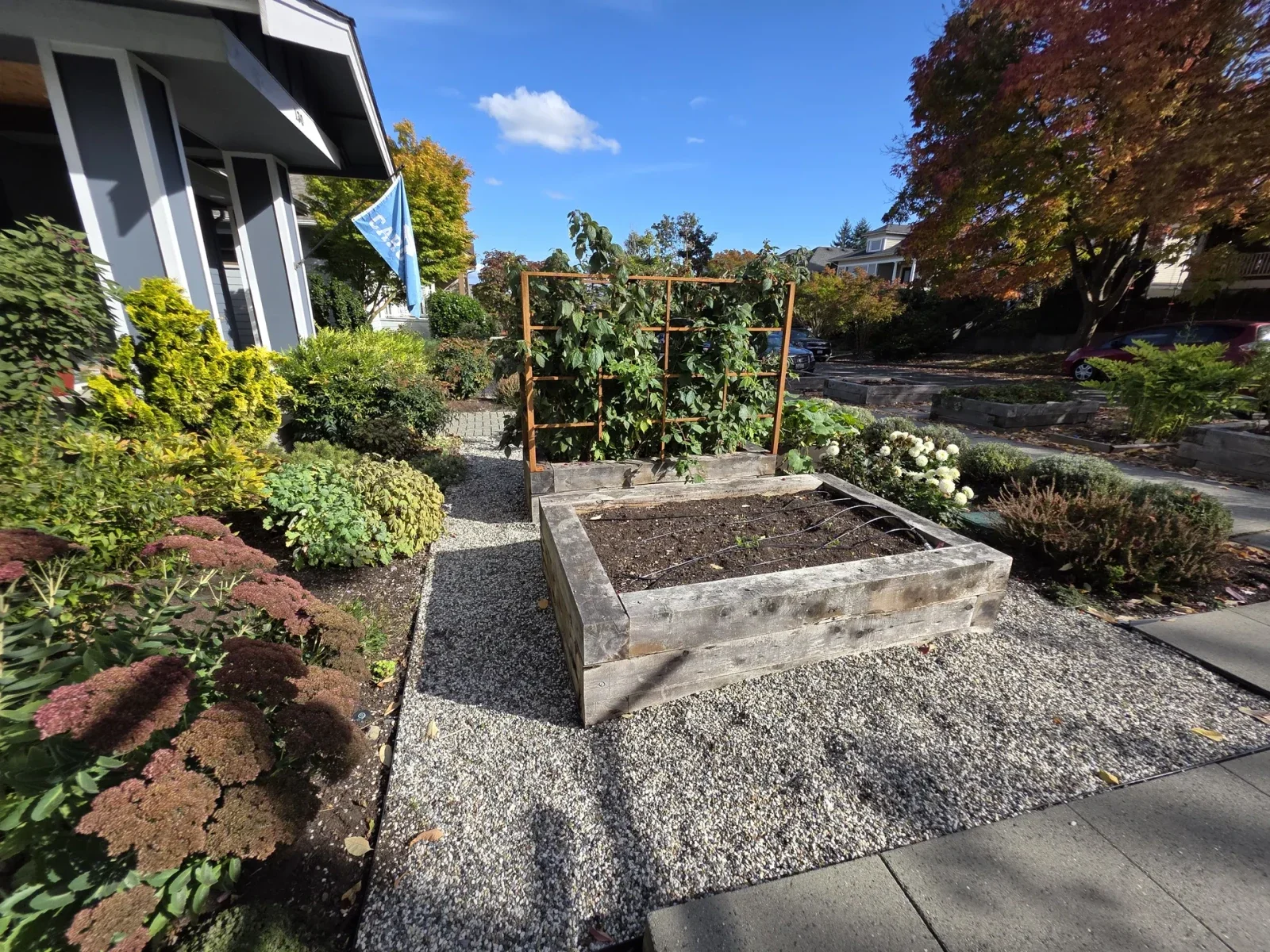 Timber raised planter and trellis set into a gravel forecourt