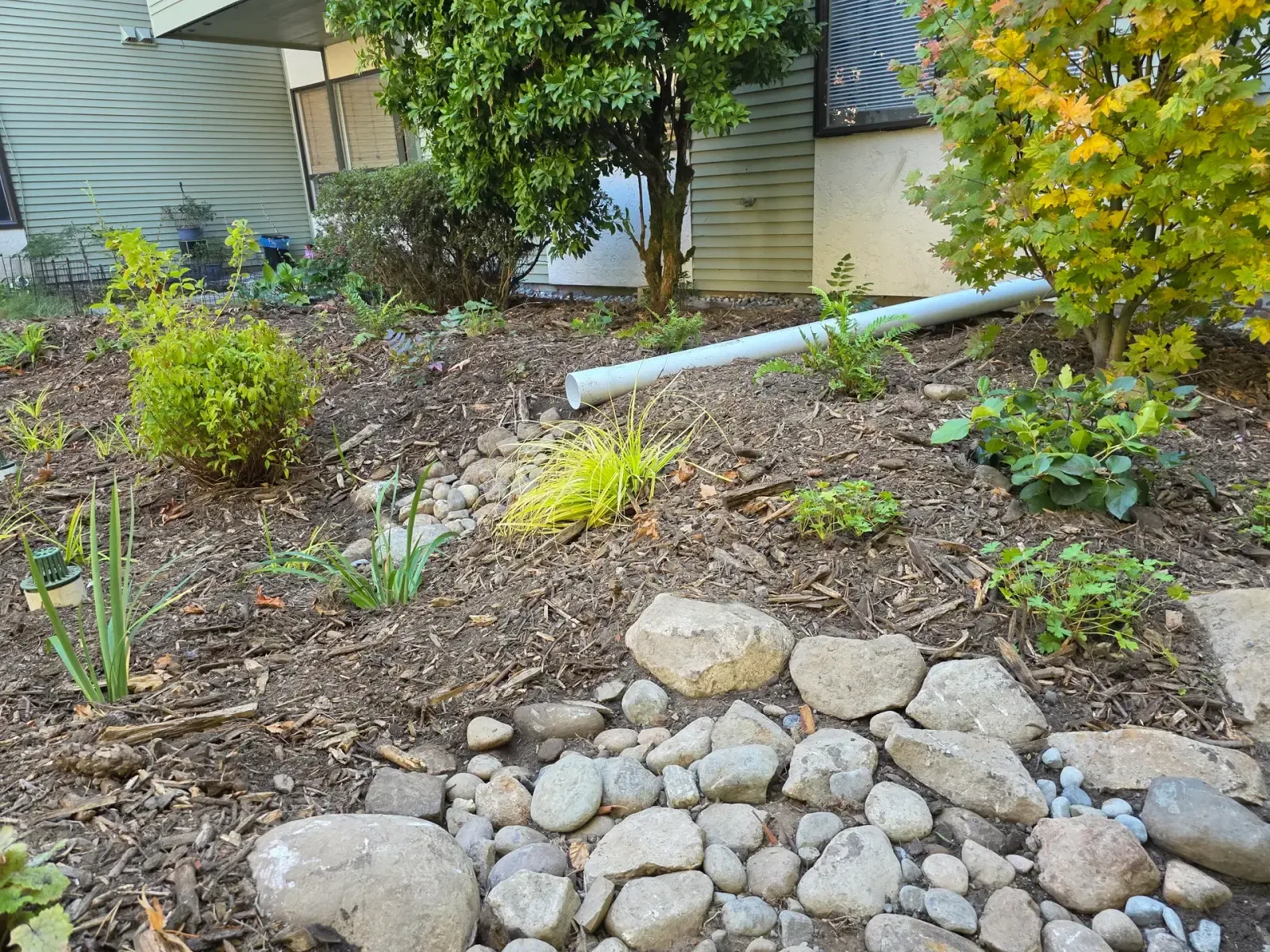 River rock overflow channel running through a mulched rain garden below a downspout line