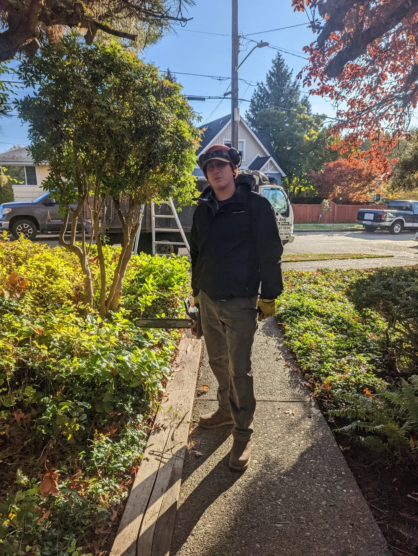 Crew member carrying a ladder along a front walk between trimmed shrub beds