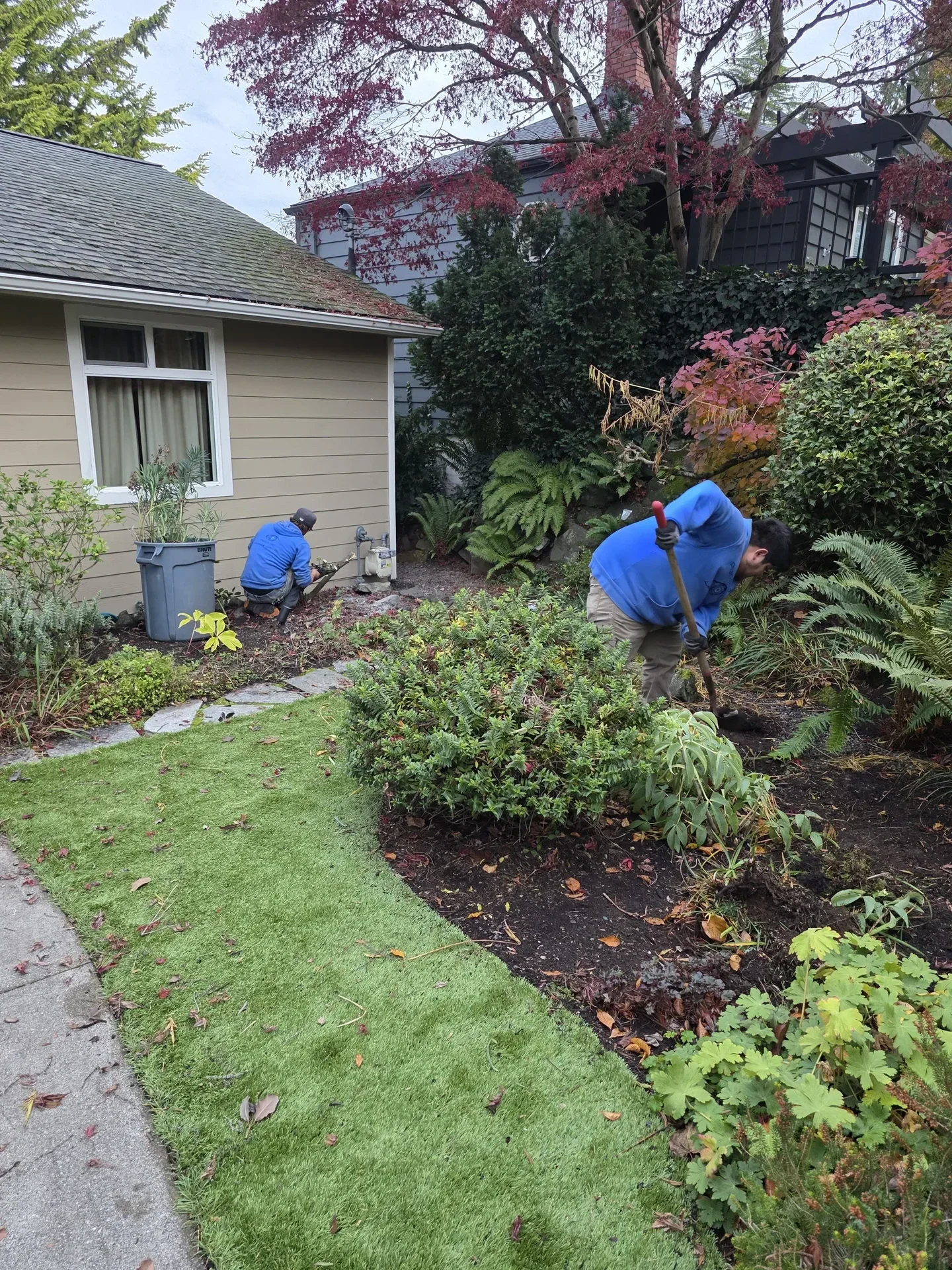 Two crew working planting beds beside a lawn and stepping stones
