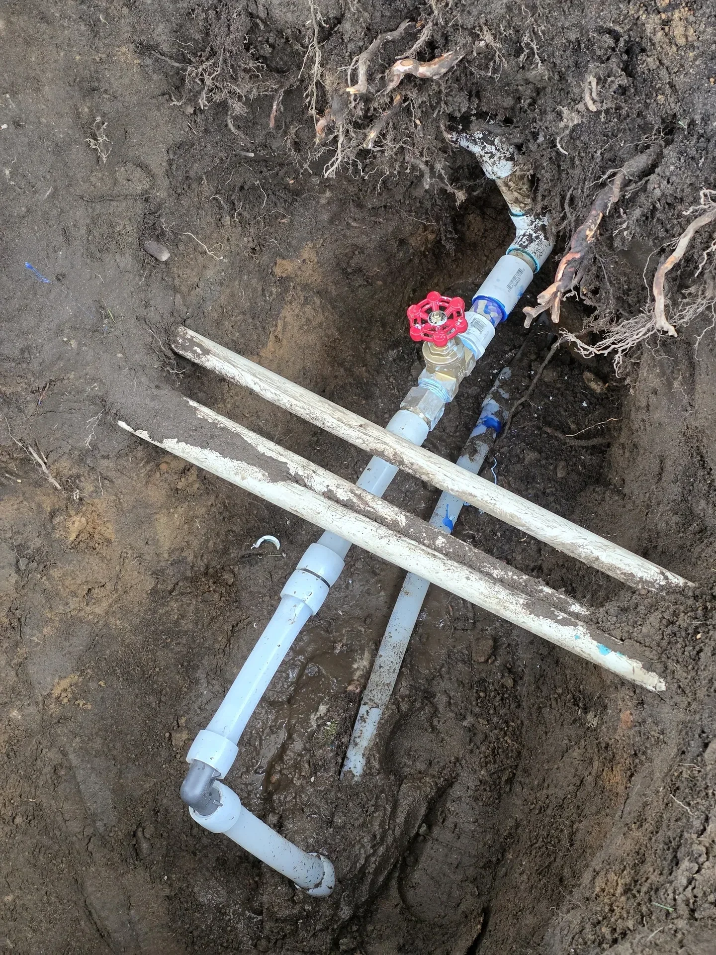 Open trench showing a PVC manifold and a red handled shutoff valve