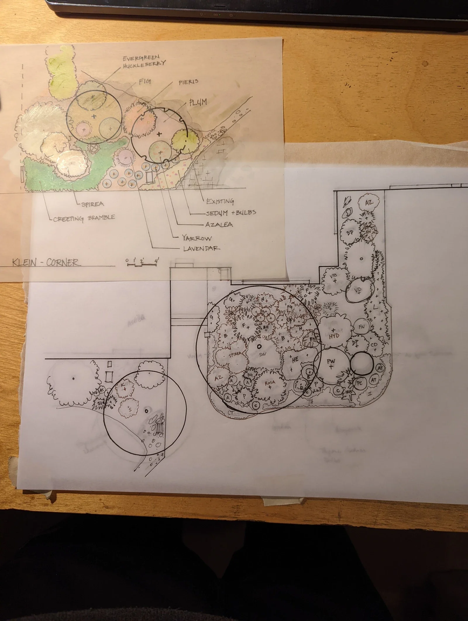Hand drawn planting plan on paper, bed shapes and plant callouts marked up