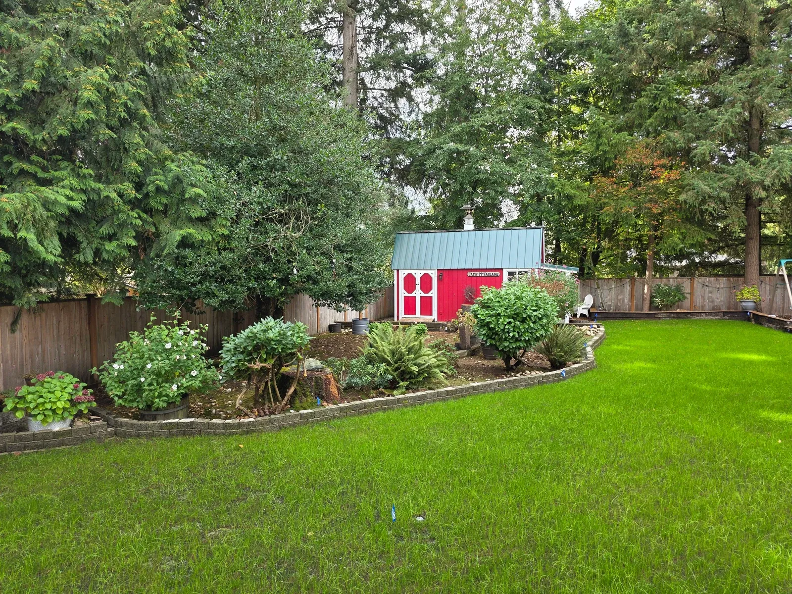 Established back lawn curving around planted borders with a red garden shed behind