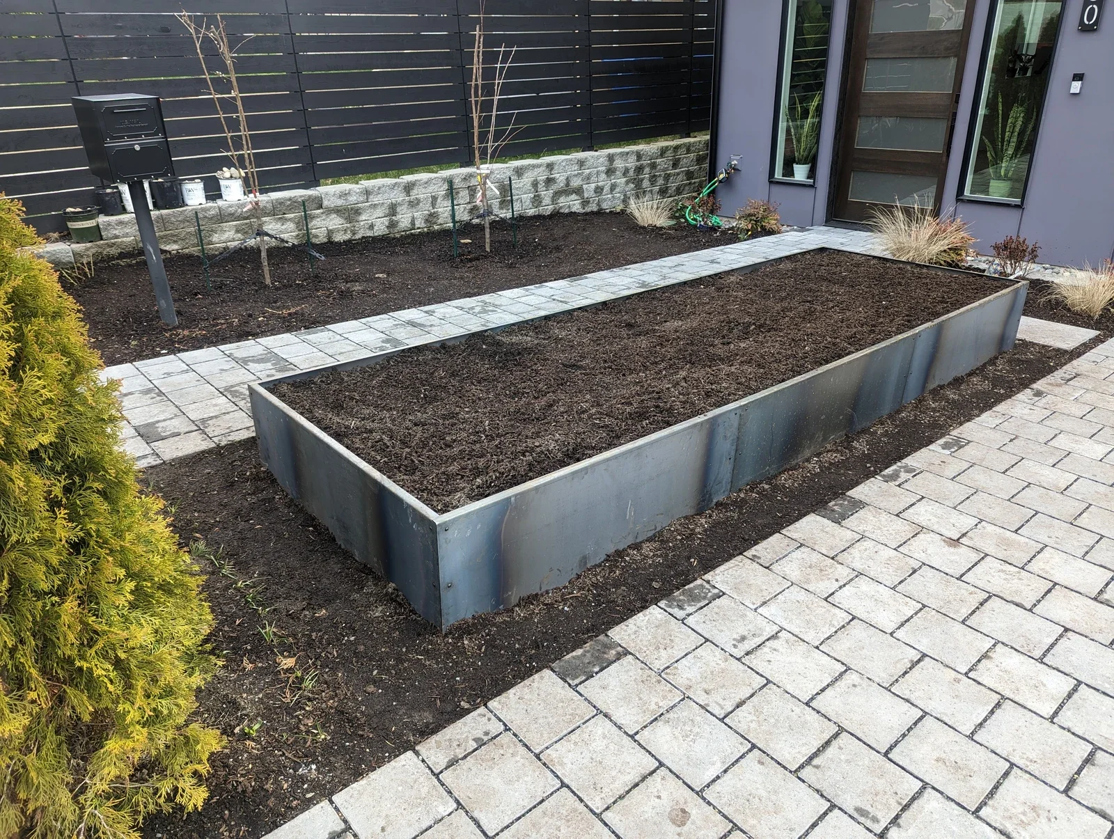 Long steel raised bed filled with fresh dark compost beside a paver walk