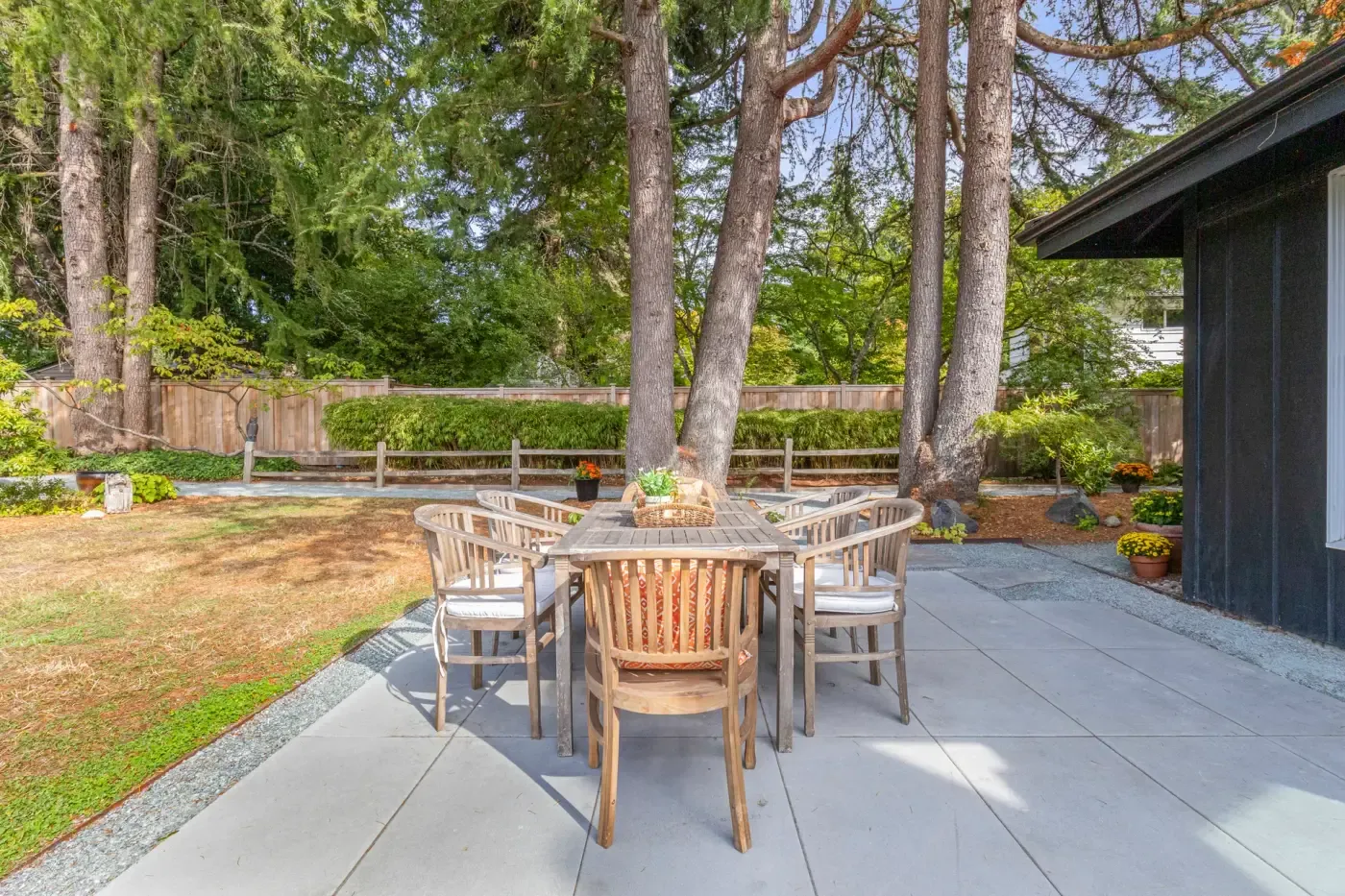 Teak dining table on a pale slab patio under tall cedars, edged with gravel against the lawn