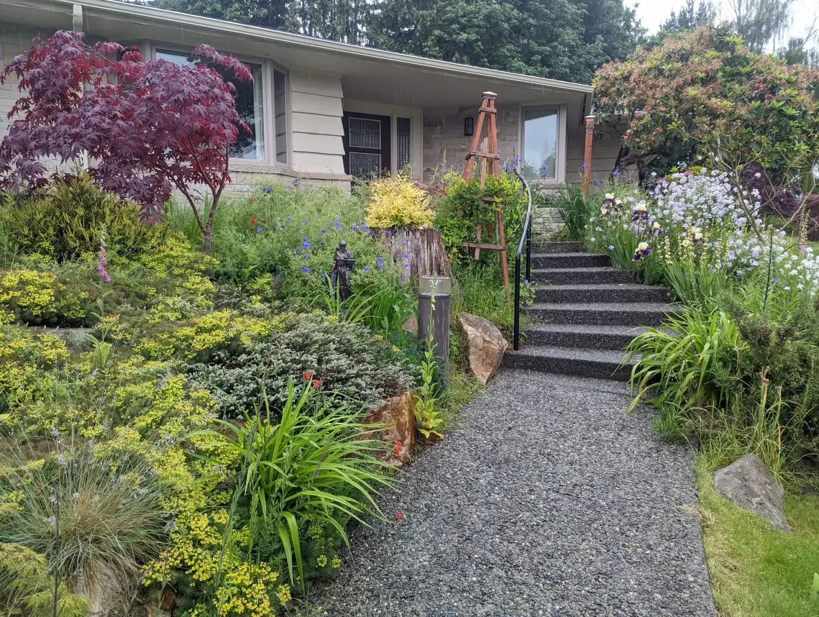 Dense mixed front planting with a gravel path and steps up to the house