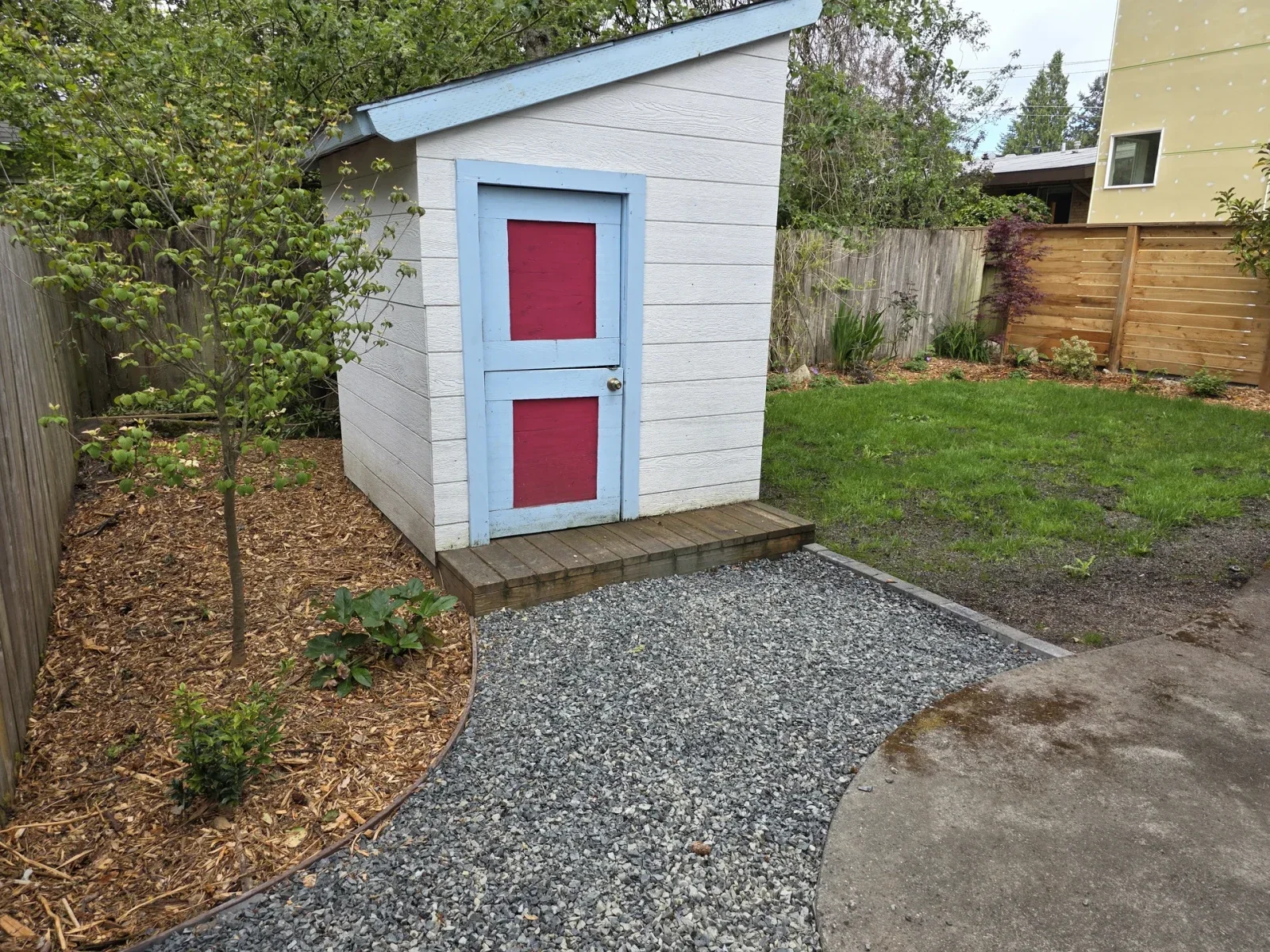 White and blue garden shed on a gravel apron beside a bark bed and lawn