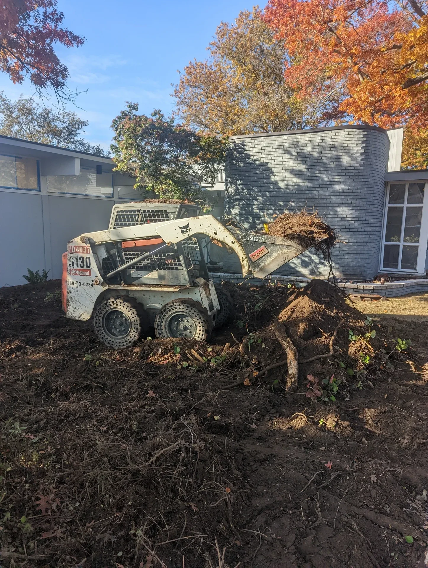 Compact loader removing a root ball from a stripped yard at a mid-century house