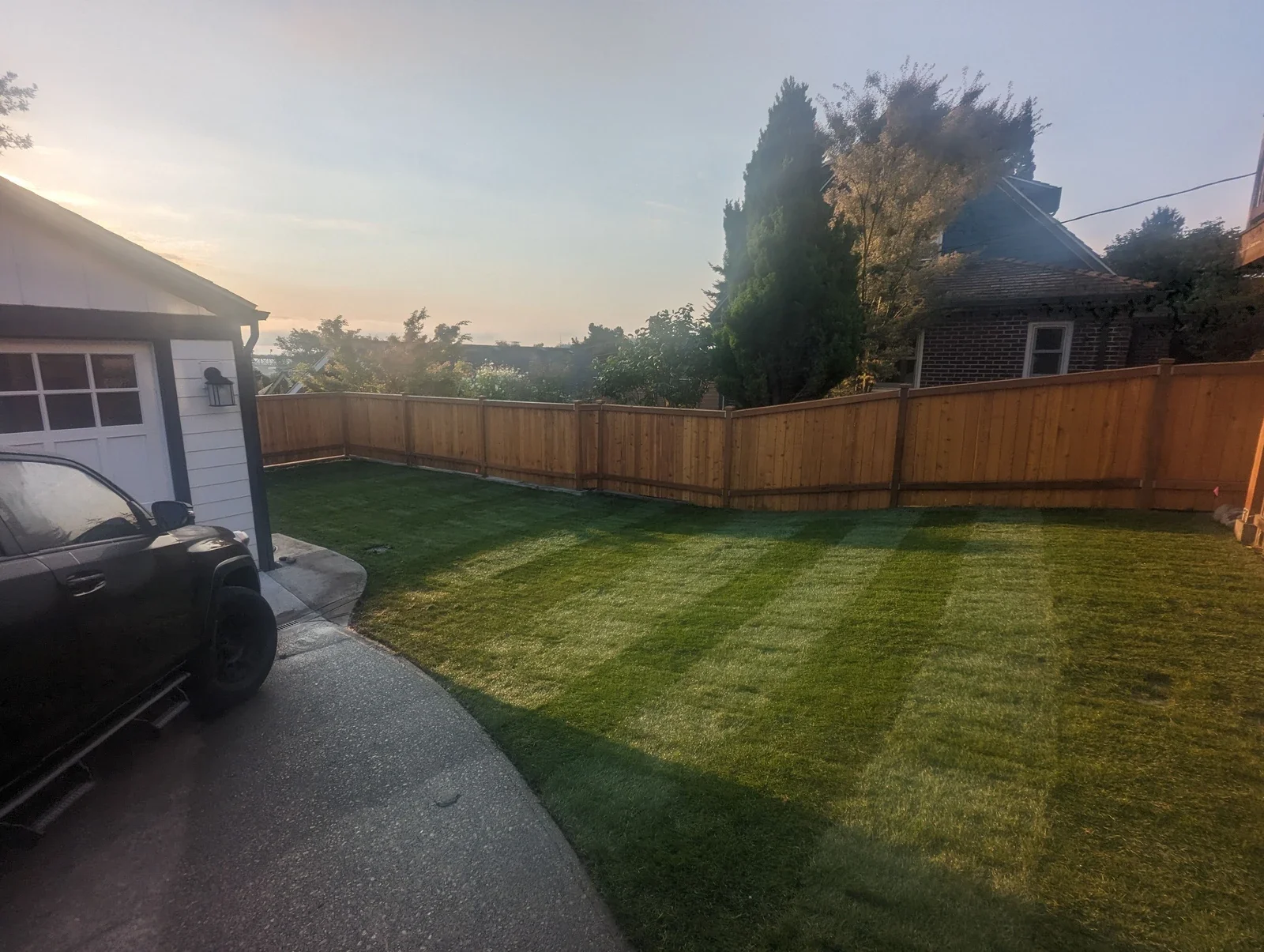 Freshly laid sod showing mower stripes in a fenced back garden at dusk