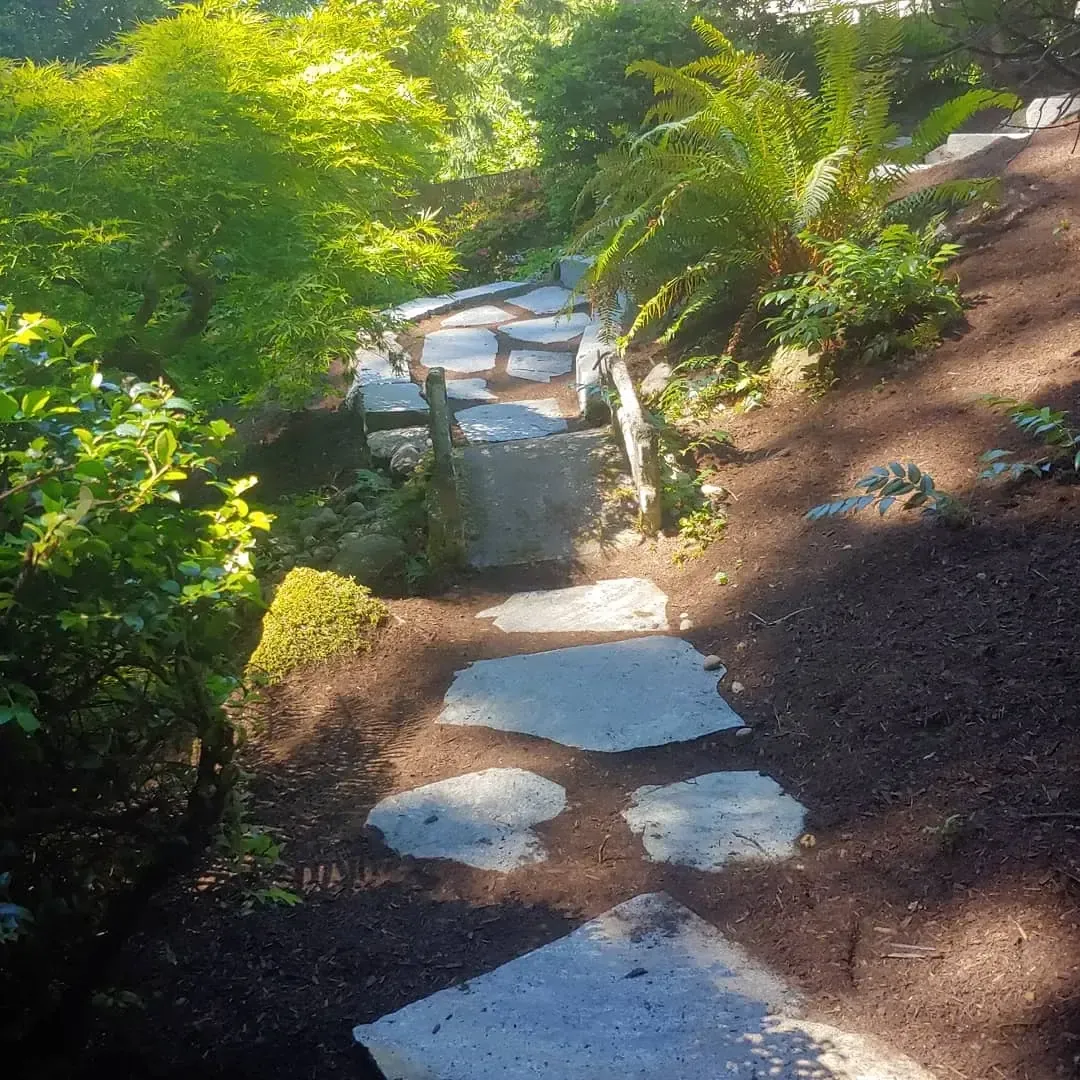 Wide stepping stones set in bark through dappled woodland garden