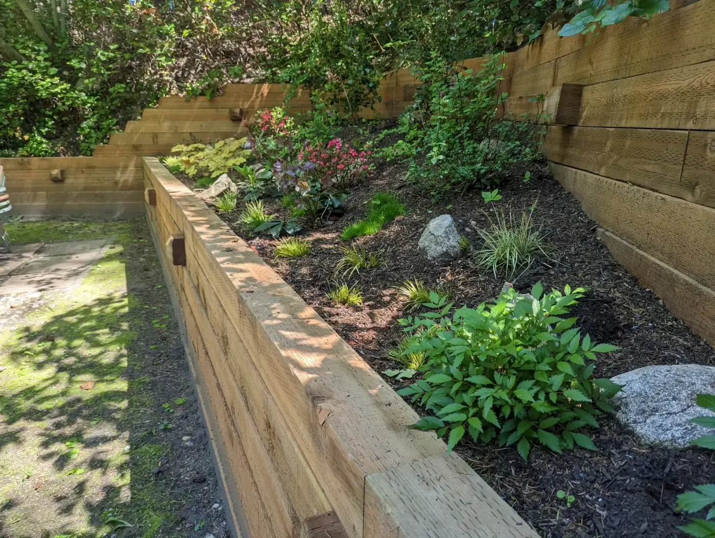 Cedar timber wall holding mulched bed of ferns and shrubs