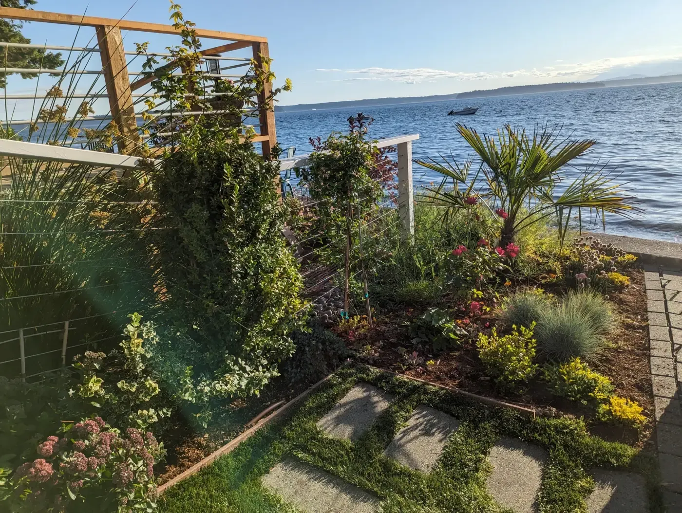 Planted shoreline border, cedar trellis, palm and stepping stones in lawn