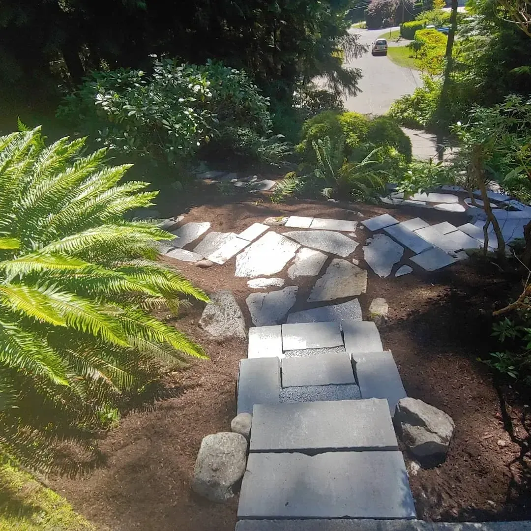 Stone landing and slab steps descending among sword ferns