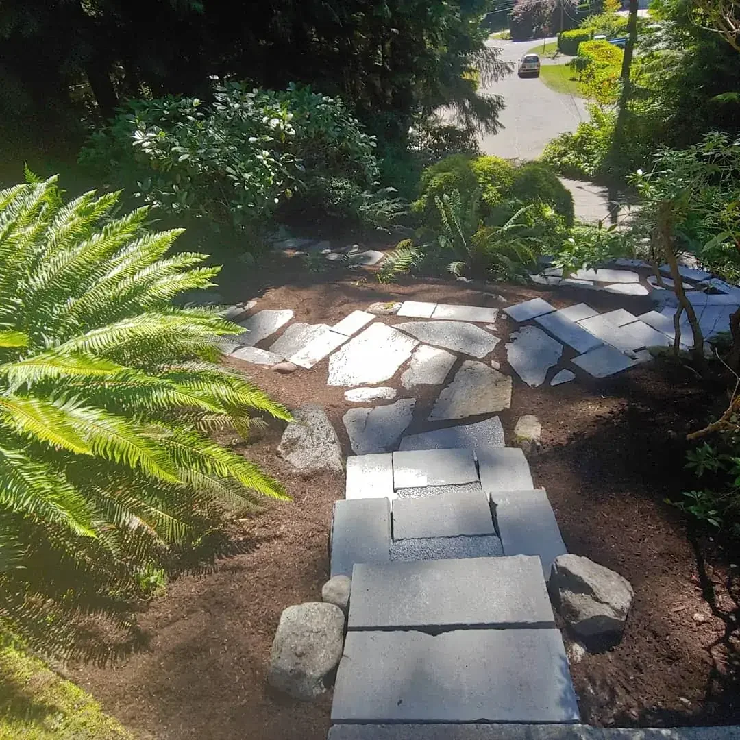 Stone landing and slab steps descending among sword ferns