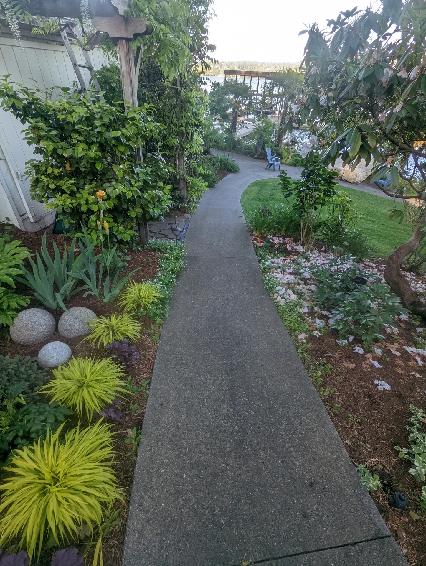 Golden grasses, agave and granite spheres edging a garden walkway