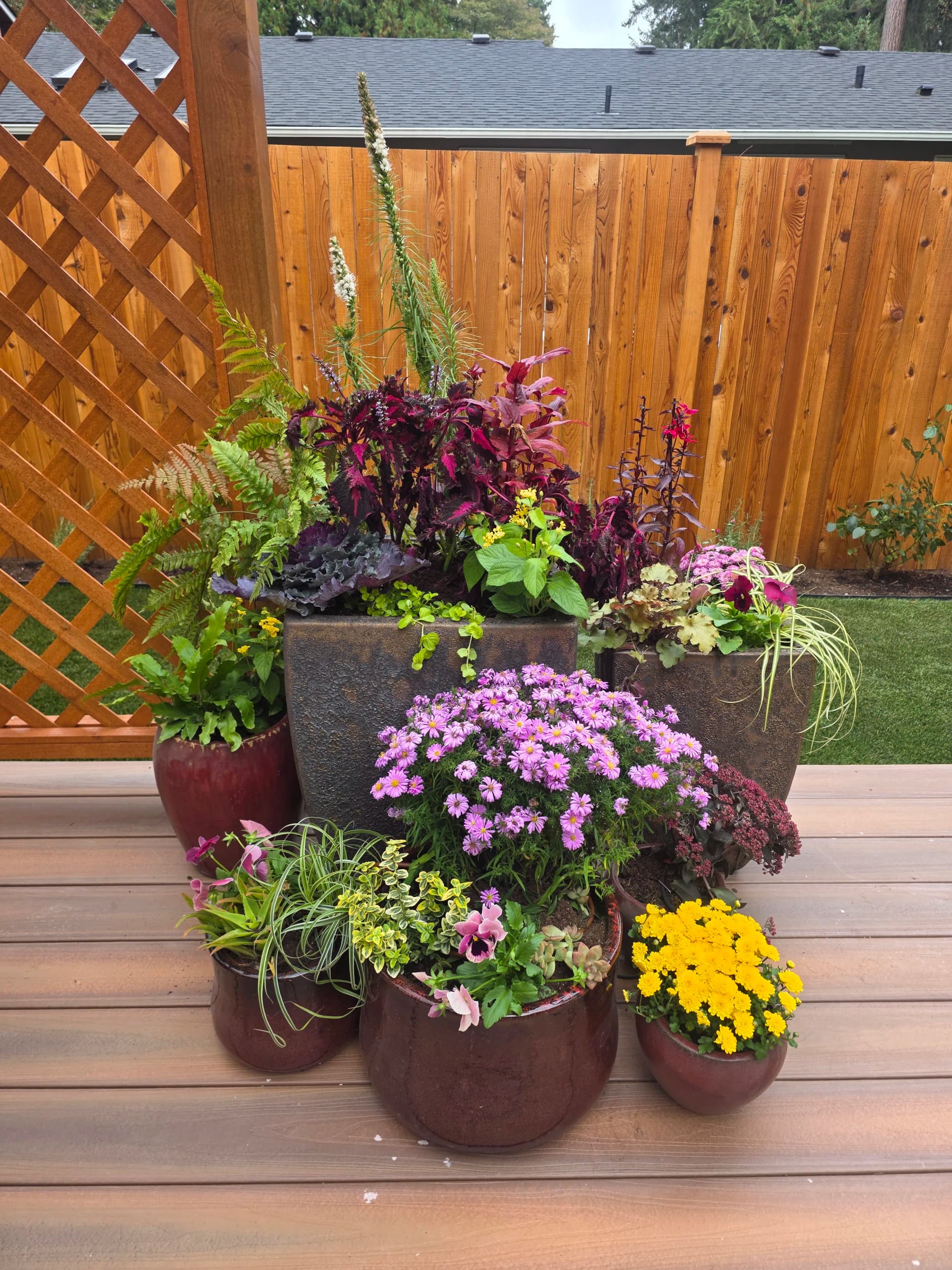 Gallery photos for Backyard Refresh With River Rock, Pavers, and Custom Plantings: Image #5