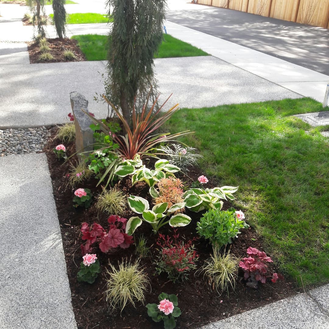 Flower bed with colorful plants, decorative stones, and well-maintained grass along a pathway.