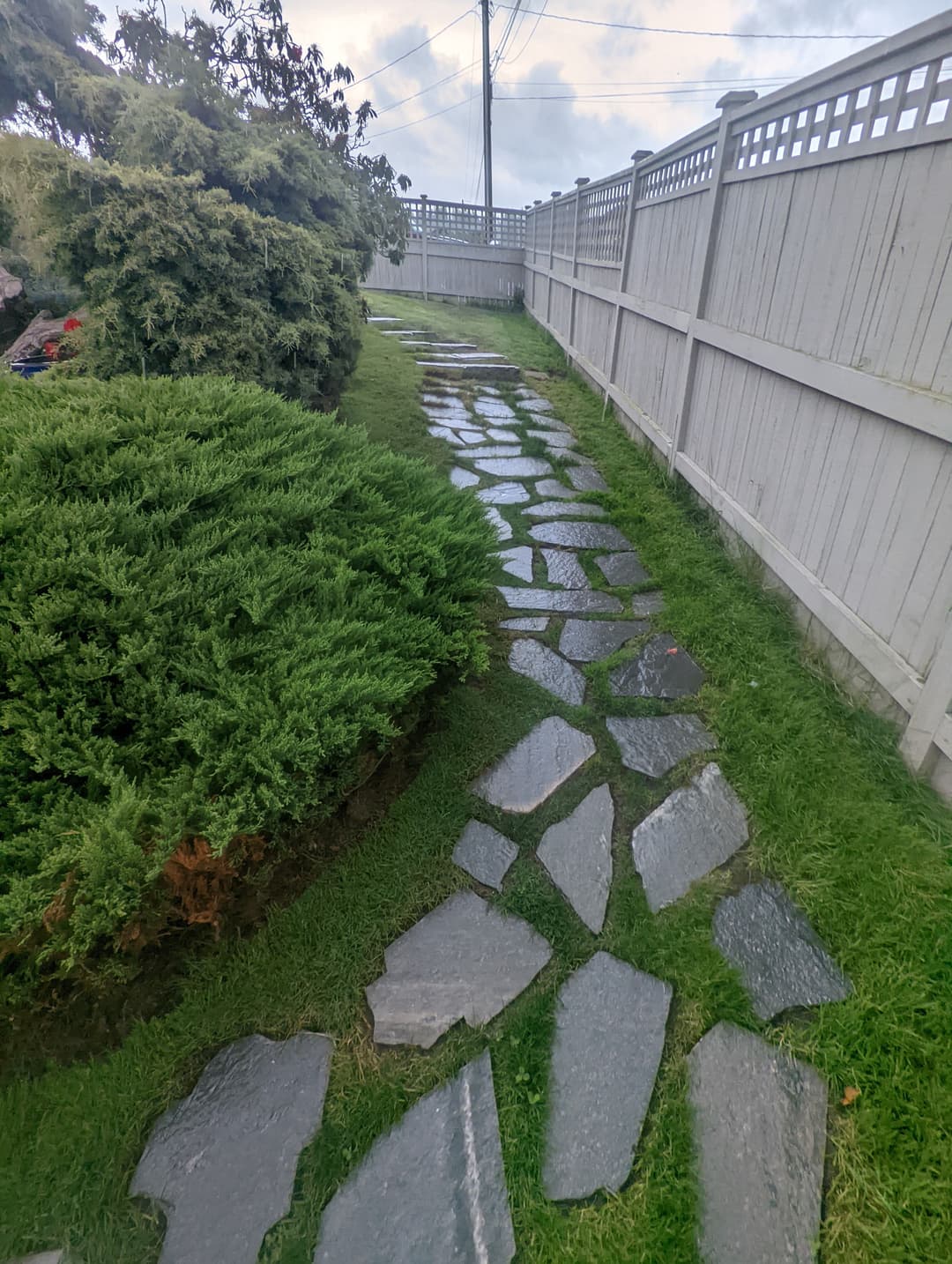 Pebbled pathway through lush greenery and wooden fence in a residential garden.