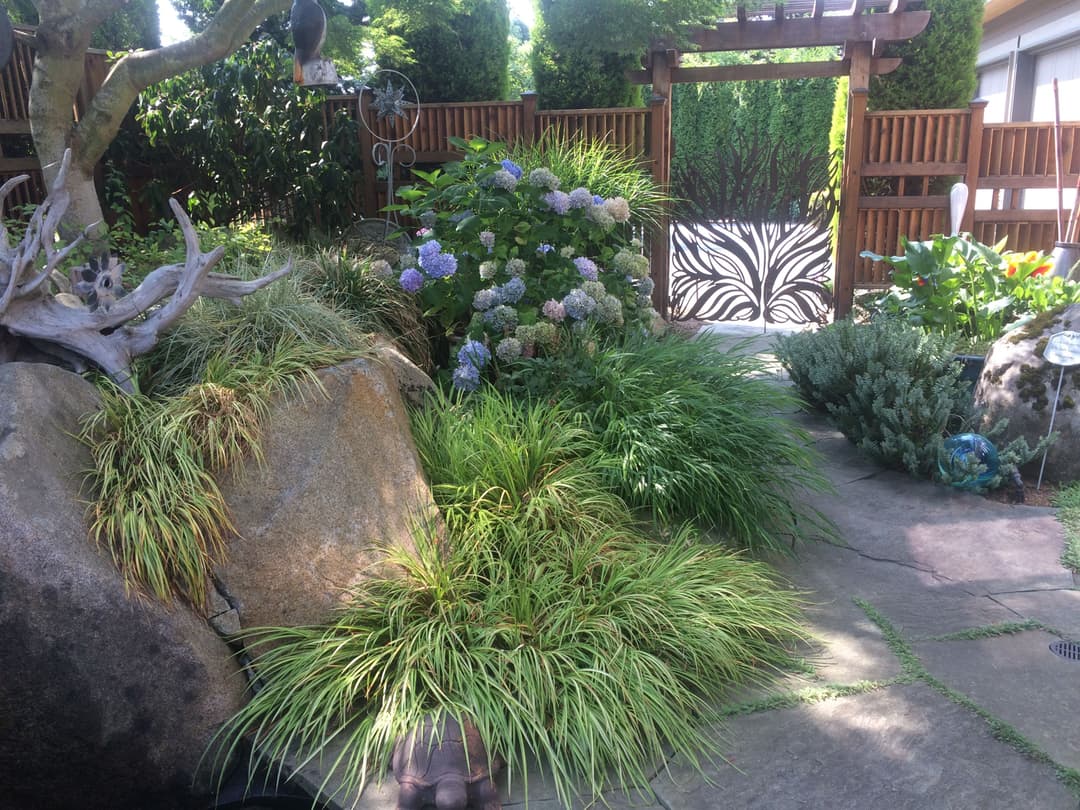 Lush garden with hydrangeas and diverse greenery, featuring stone pathways and a decorative gate.