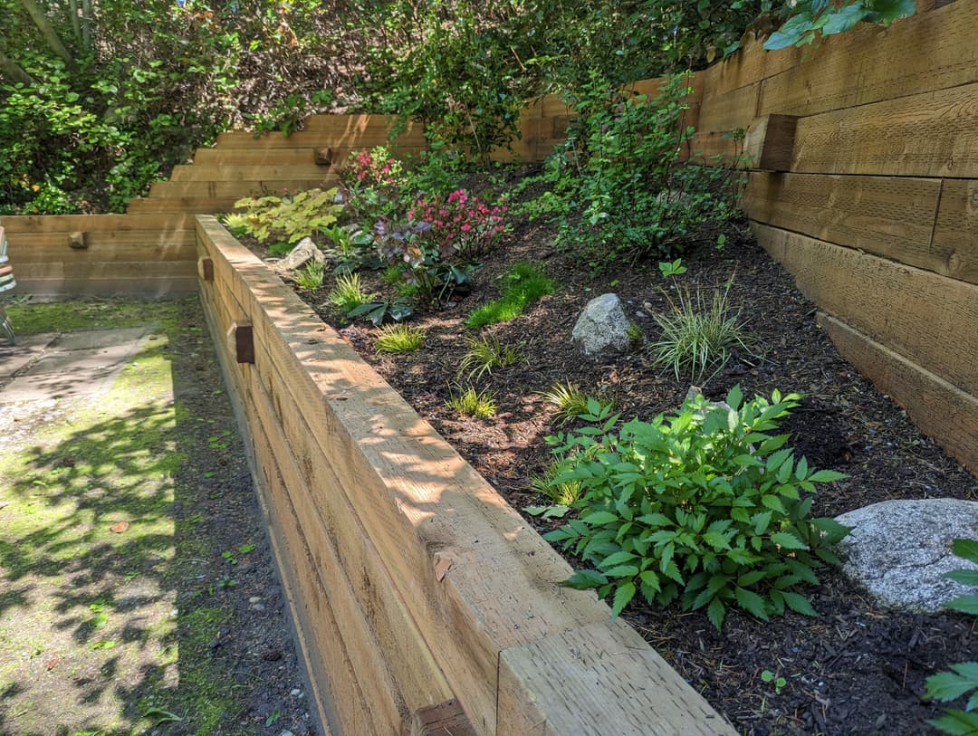 Lush garden bed with diverse plants and wooden retaining wall in a landscaped area.