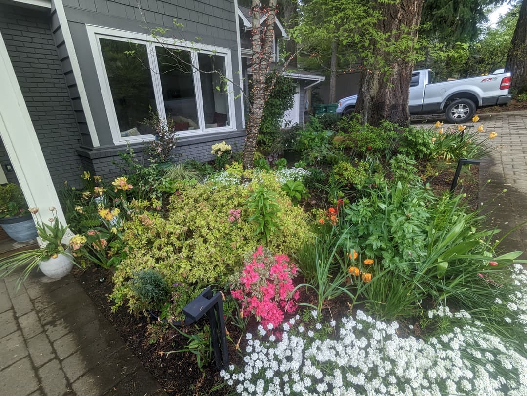 Vibrant garden with colorful flowers and lush greenery in a front yard setting.