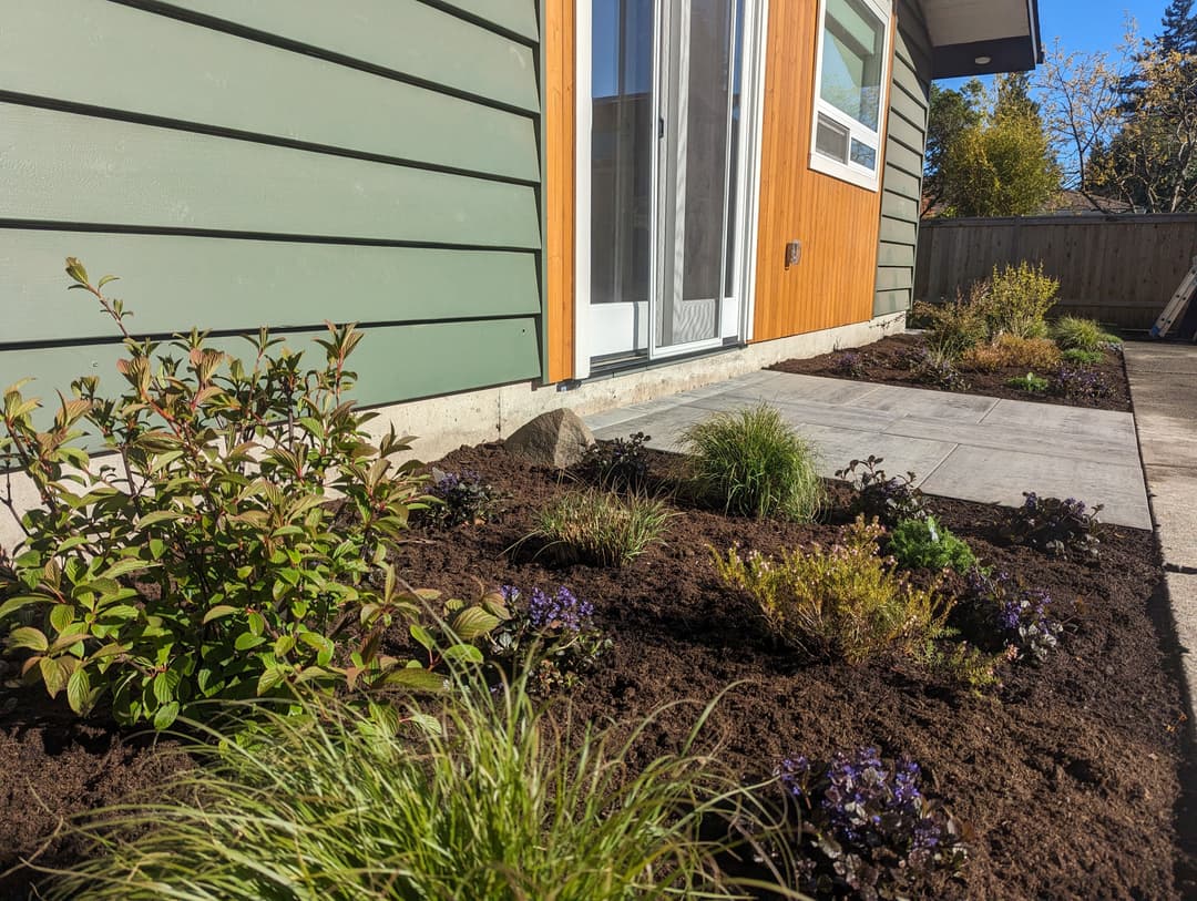 Modern landscaping with lush plants and a concrete pathway beside a stylish home exterior.