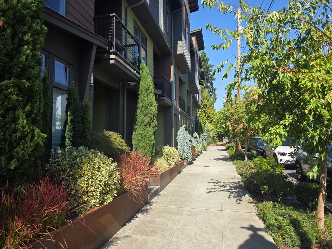 Modern apartment exterior with greenery lining a sunny sidewalk in a residential area.