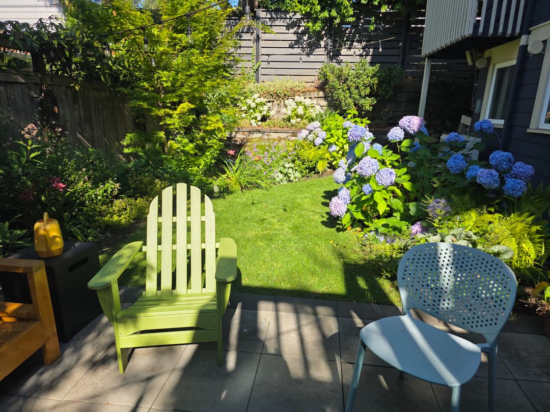 Garden patio with green and blue chairs, blooming hydrangeas, and lush greenery.