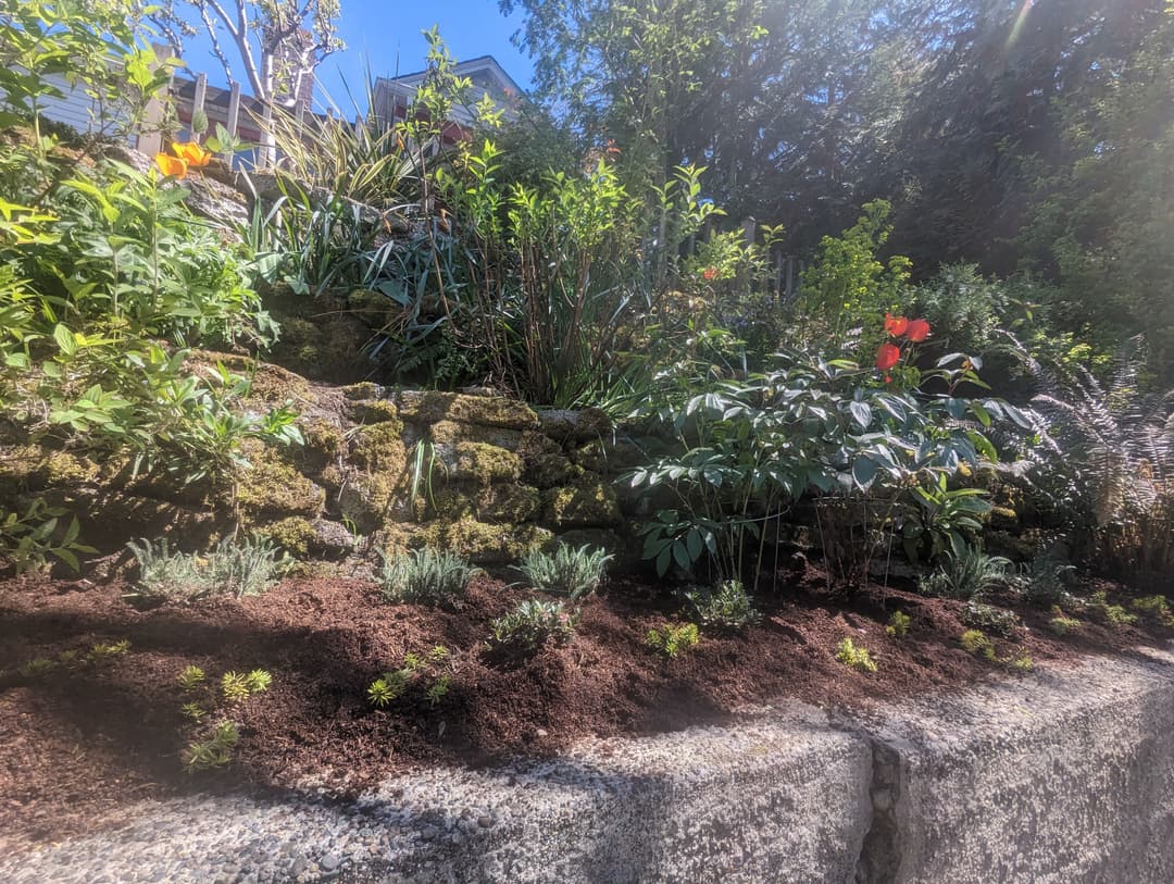 Lush garden with diverse greenery and colorful flowers on a stone tiered landscape.