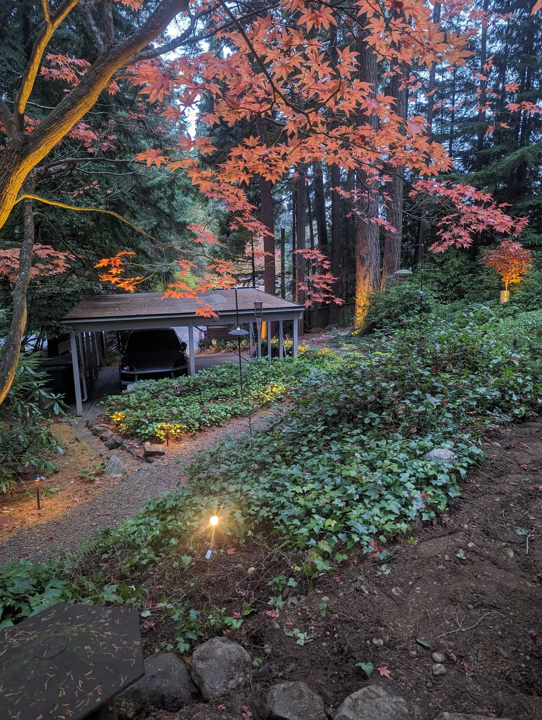 Scenic garden at dusk with autumn foliage and a cozy outdoor shelter among tall trees.