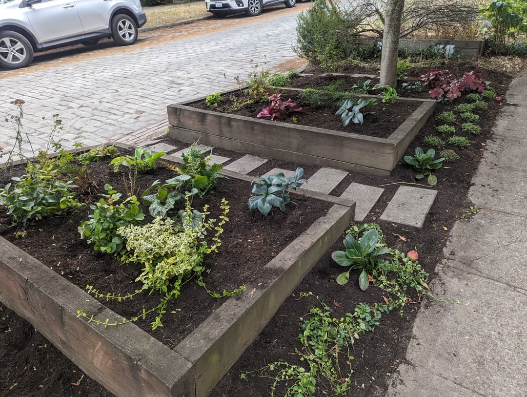 Vegetable garden beds with leafy greens and herbs along a cobblestone walkway.