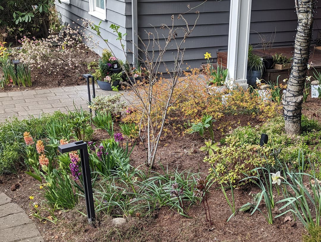 Vibrant garden landscape with flowers, shrubs, and pathway near a house exterior.