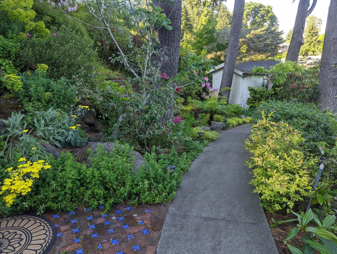 Lush landscaped garden with a winding pathway surrounded by vibrant flowers and greenery.