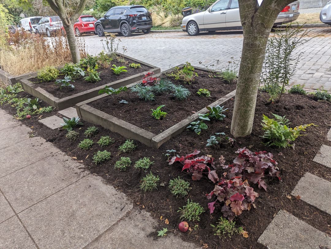 Vibrant urban garden beds with diverse plants and fresh mulch beside a cobblestone street.