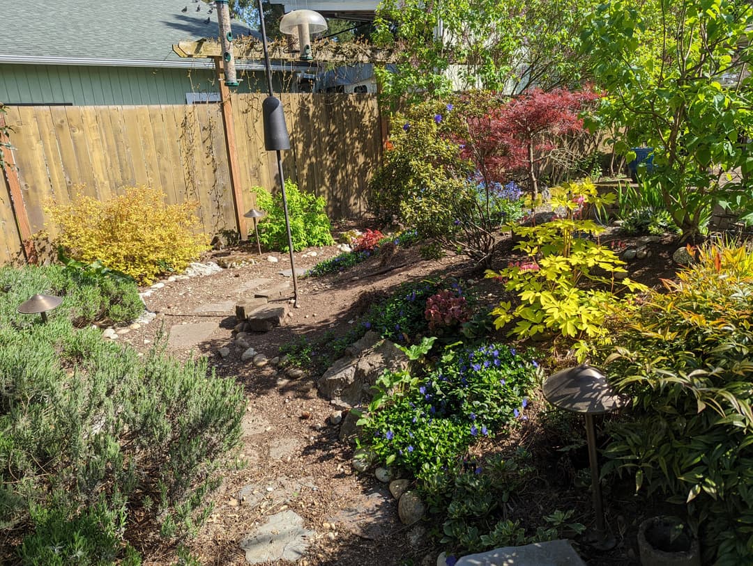 Lush garden with colorful plants, rocks, and a bird feeder in a serene outdoor space.