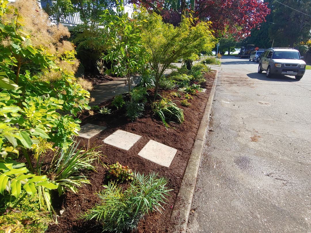 Lush landscaping with new mulch, stepping stones, and vibrant plants beside a residential street.