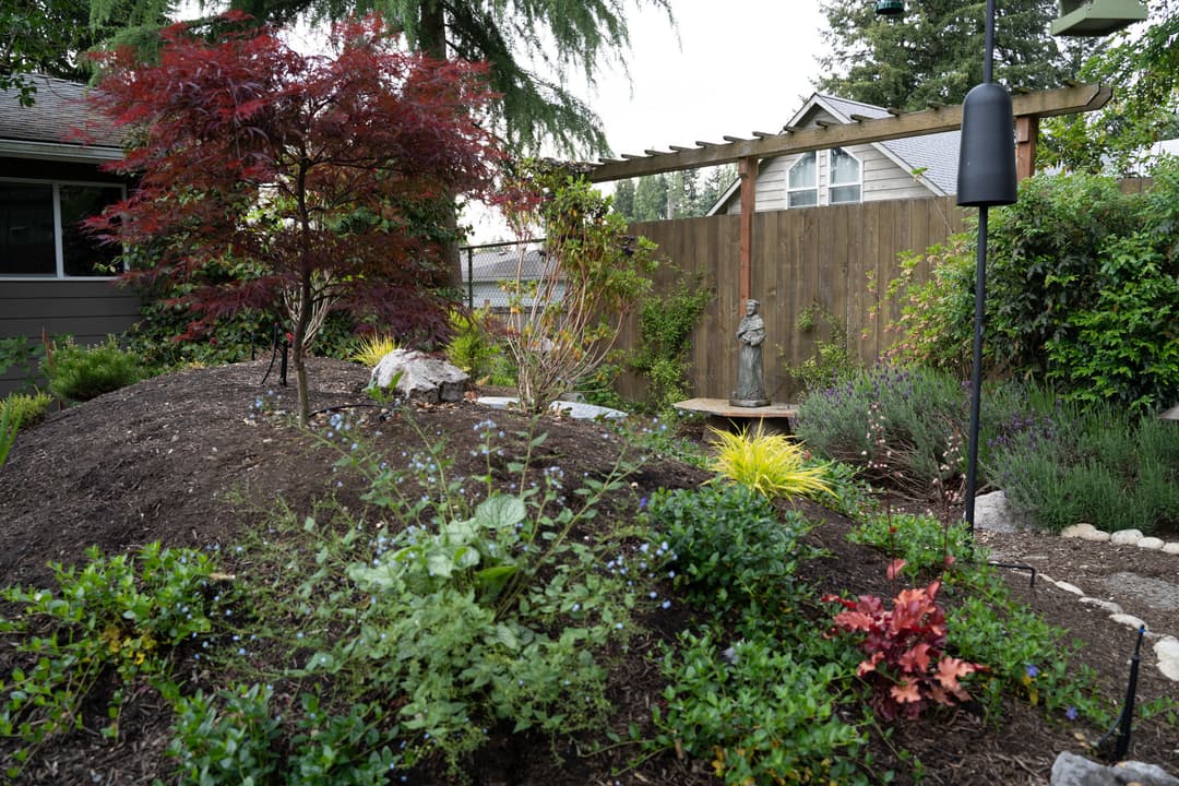 Lush garden with Japanese maple, decorative statue, and vibrant landscaping features.