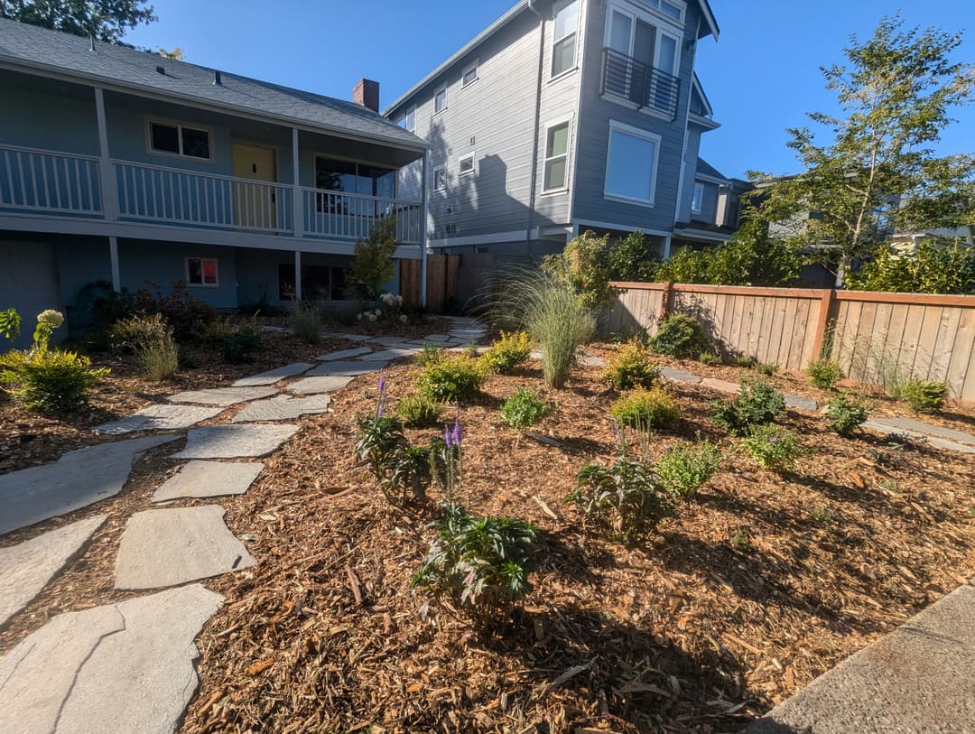 Landscaped garden with stone pathways, plants, and a modern house in the background.